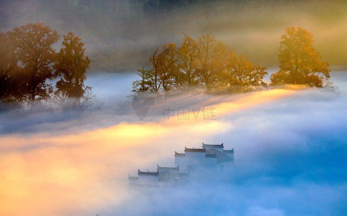 湖泊的雾景：自然景观中的艺术品