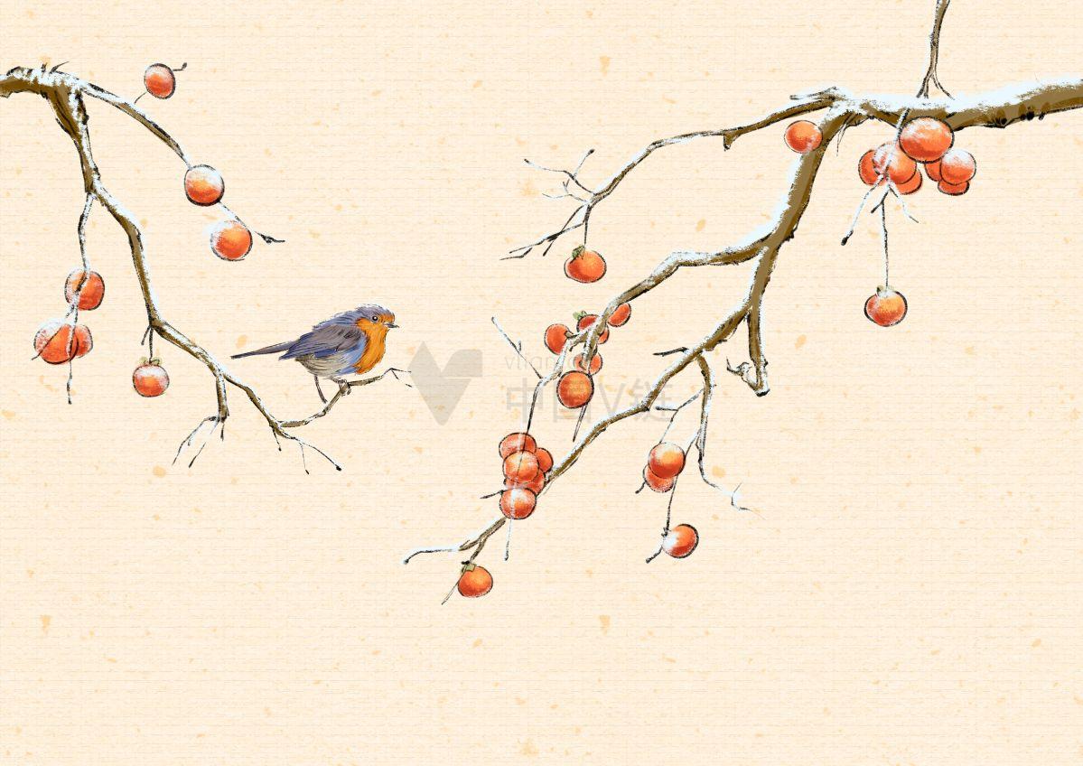 鸟类画家捕捉到了太平鸟在树上觅食的瞬间,画出了一幅美味的果实画作