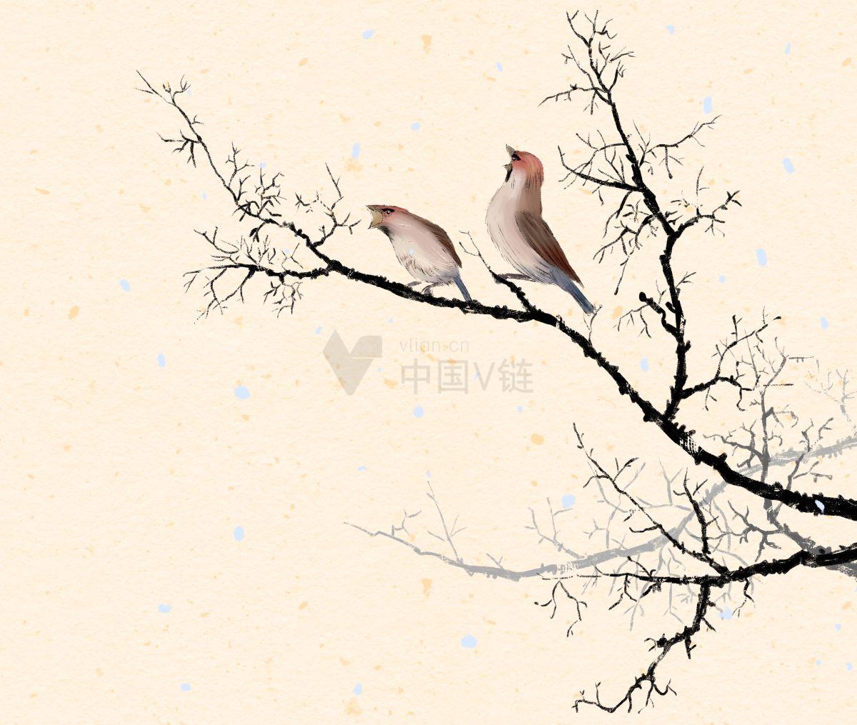 插图：描绘太平鸟在树上的美丽瞬间