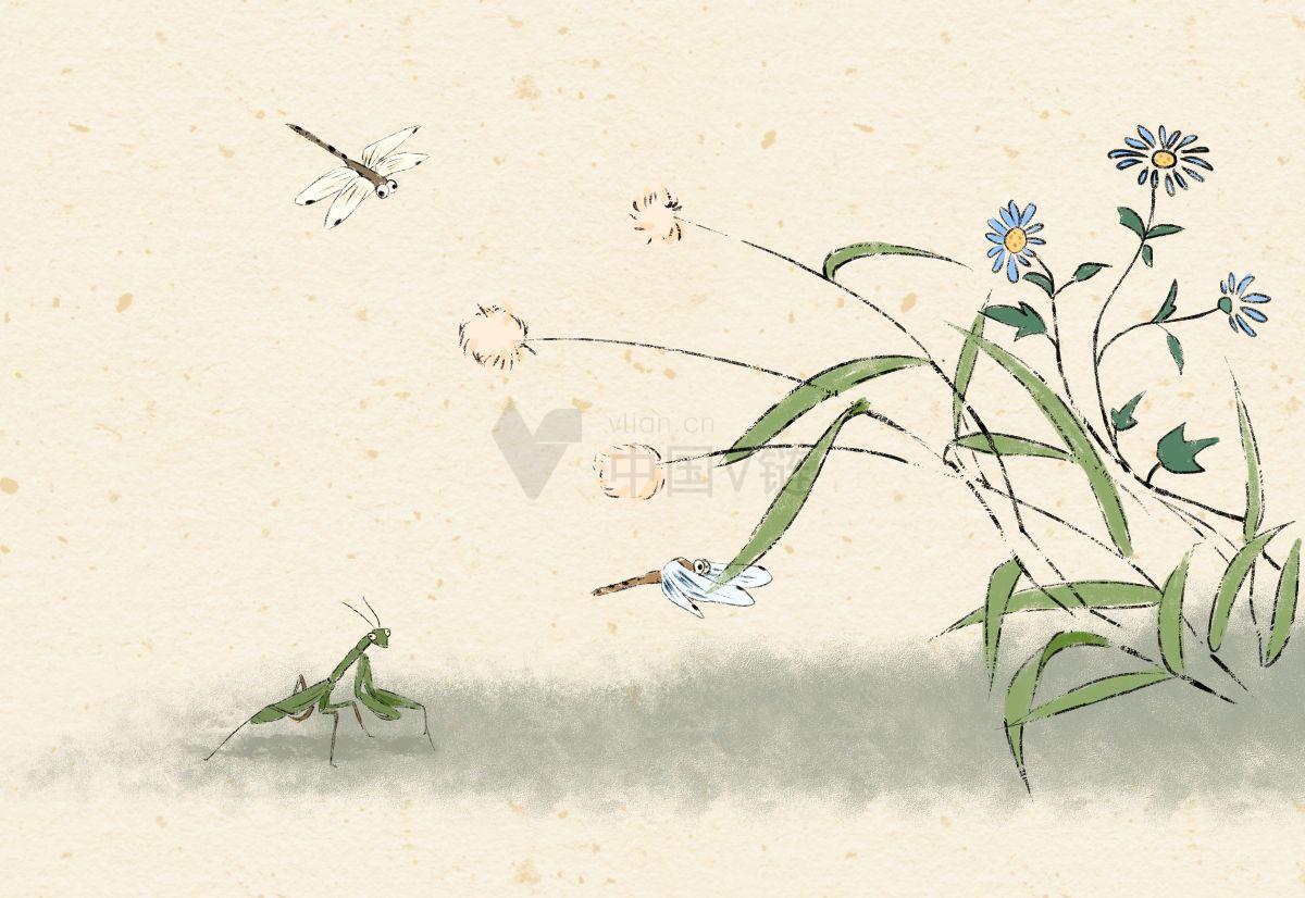 植物插图：儿童艺术中的自然景观